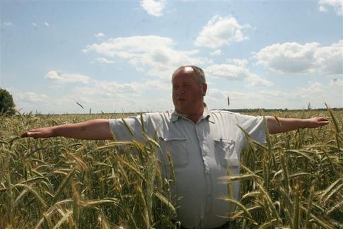 Фермер Олексій Бутенко: А у мене жито - майже по плече
