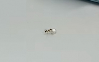 0   Спробу мурашки вкрасти діамант зняли на відео